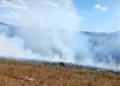 aviao-de-pequeno-porte-cai-e-explode-em-zona-rural-de-neropolis