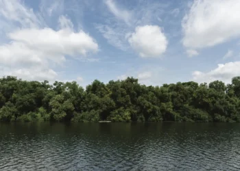 ses-go-orienta-turistas-sobre-cuidados-com-a-saude-durante-temporada-do-rio-araguaia