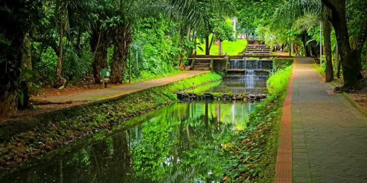 levar-ou-nao-a-blusa-de-frio?-confira-a-previsao-do-tempo-para-hoje-(02)-em-goiania