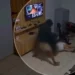 idoso-e-rendido-e-agredido-por-dois-adolescentes-dentro-de-casa-em-iaciara