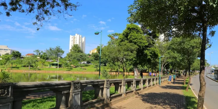 frio-perde-forca,-mas-manha-segue-gelada-hoje-(03)-em-goiania