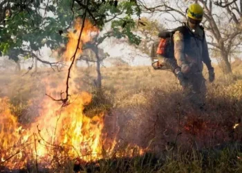 tempo-seco-aumenta-risco-de-queimadas-e-coloca-goias-em-alerta
