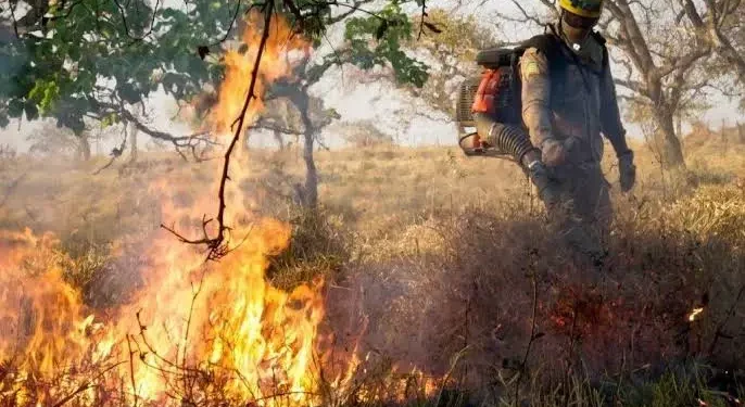 tempo-seco-aumenta-risco-de-queimadas-e-coloca-goias-em-alerta