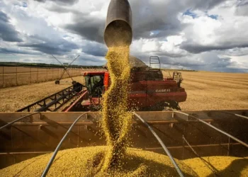 fome-no-brasil:-china-vai-produzir-graos-e-minerios-de-que-precisar