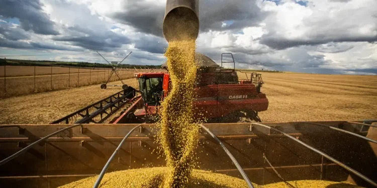 fome-no-brasil:-china-vai-produzir-graos-e-minerios-de-que-precisar