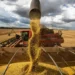 fome-no-brasil:-china-vai-produzir-graos-e-minerios-de-que-precisar
