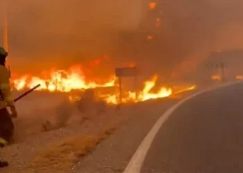 incendio-florestal-deixa-11-mortos-e-19-desaparecidos-no-sul-da-espanha