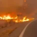 incendio-florestal-deixa-11-mortos-e-19-desaparecidos-no-sul-da-espanha