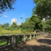 goiania-tera-sabado-de-sol,-maxima-de-31°c-e-umidade-pode-cair-para-30%