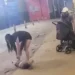 pcdf-identifica-pais-de-bebe-que-caiu-no-chao-apos-video-viralizar-nas-redes-sociais