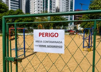parquinho-em-goiania-e-interditado-apos-identificacao-de-bicho-geografico