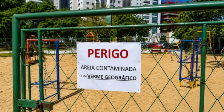 parquinho-em-goiania-e-interditado-apos-identificacao-de-bicho-geografico