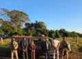 pm-prende-piloto-de-aeronave-carregada-com-cocaina-apos-cerco-no-sudoeste-de-goias