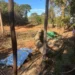trabalhador-morre-esmagado-por-arvore-durante-poda-em-bela-vista-de-goias