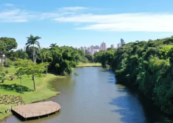 vereadora-aciona-mp-por-projeto-viario-proximo-ao-jardim-botanico