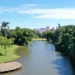 vereadora-aciona-mp-por-projeto-viario-proximo-ao-jardim-botanico