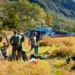 piloto-de-parapente-fica-ferido-apos-bater-em-arvore-durante-voo-de-treino-na-serra-de-jaragua