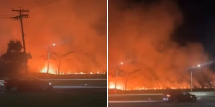 incendio-em-area-de-mata-no-campus-samambaia-sera-investigado-apos-suspeita-de-acao-criminosa