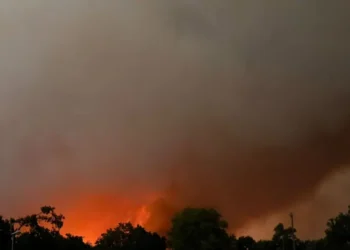 incendios-florestais-forcam-retirada-de-milhares-de-pessoas-no-sudoeste-da-franca