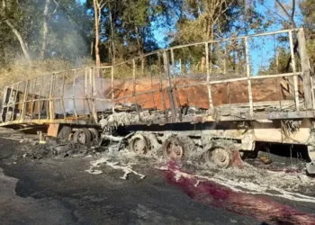 explosao-de-caminhao-interdita-via-na-br-153,-proximo-a-goiania