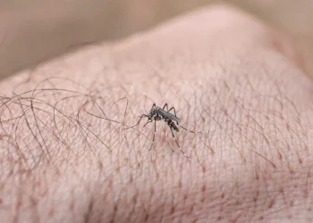 goias-registra-alta-de-15%-ao-chegar-a-93-mil-casos-de-dengue-em-2026
