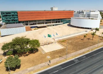 cldf-retoma-trabalhos-com-homenagem-as-doulas-e-volta-das-votacoes