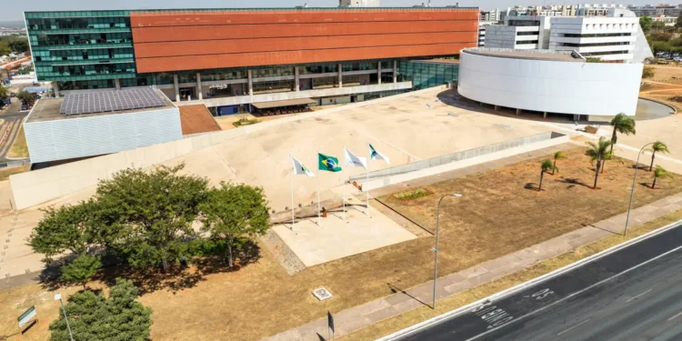 cldf-retoma-trabalhos-com-homenagem-as-doulas-e-volta-das-votacoes