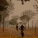 goiania-fecha-julho-sob-tempo-seco-e-umidade-critica