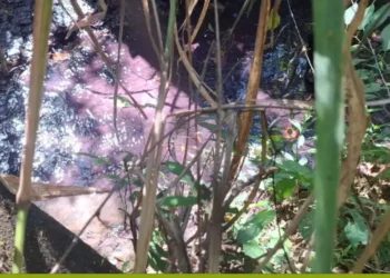 semad-confirma-contaminacao-de-corrego-apos-acidente-quimico-na-br-153-em-goias
