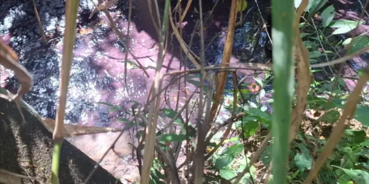 semad-confirma-contaminacao-de-corrego-apos-acidente-quimico-na-br-153-em-goias
