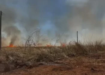 um-ano-apos-acao-da-justica,-lixao-de-piracanjuba-volta-a-pegar-fogo