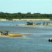 temporada-do-araguaia-movimenta-construcao-civil,-comercio-e-turismo-em-goias