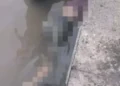 jovem-desaparecida-e-encontrada-morta-em-um-terminal-hidroviario-em-belem