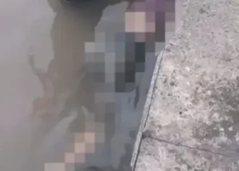 jovem-desaparecida-e-encontrada-morta-em-um-terminal-hidroviario-em-belem