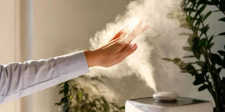 goiania-tera-calor-de-32°c-e-umidade-pode-despencar-para-20%-nesta-quinta-feira-(06)