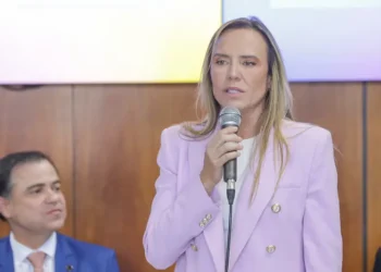 celina-leao-propoe-multa-de-ate-r$-100-mil-para-combater-vandalismo-no-df