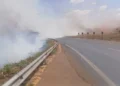 incendios-em-cinco-pontos-das-brs-060-e-452-mobilizam-equipes-em-goias