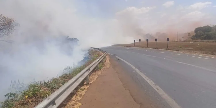 incendios-em-cinco-pontos-das-brs-060-e-452-mobilizam-equipes-em-goias