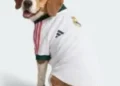 adidas-lanca-camisas-para-caes-inspiradas-em-gigantes-do-futebol-europeu