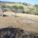 veja-video-do-acidente-que-deixou-sete-mortos-na-go-010,-em-goias