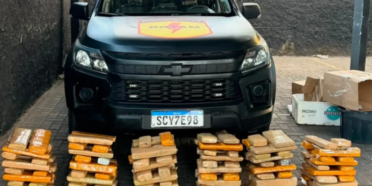 rotam-apreende-150-kg-de-maconha-e-prende-suspeito-em-goiania