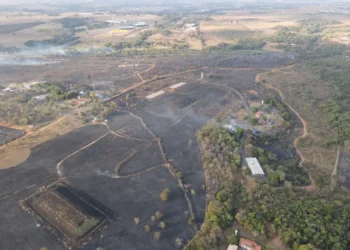 incendio-atinge-parque-estadual-telma-ortegal-em-abadia-de-goias