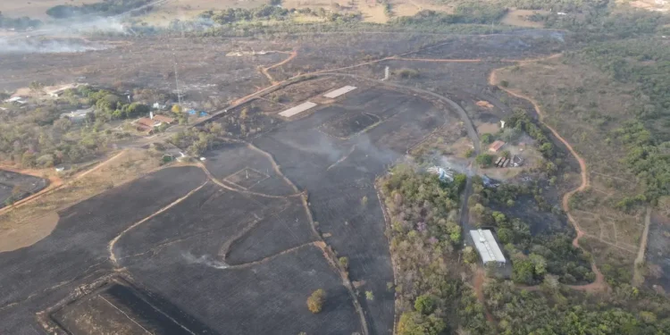 incendio-atinge-parque-estadual-telma-ortegal-em-abadia-de-goias