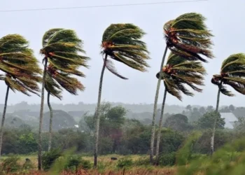 mais-de-10-cidades-de-goias-entram-em-alerta-para-ventos-fortes;-confira