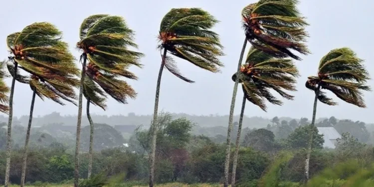 mais-de-10-cidades-de-goias-entram-em-alerta-para-ventos-fortes;-confira