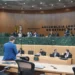 alego-aprova-politica-de-incentivo-ao-empreendedorismo-para-maes-atipicas-em-goias