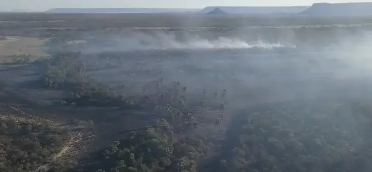 incendios-destroem-8-mil-hectares-na-regiao-de-terra-ronca,-em-goias