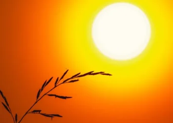 goiania-tera-quinta-feira-(13)-escaldante,-com-maxima-de-36°c