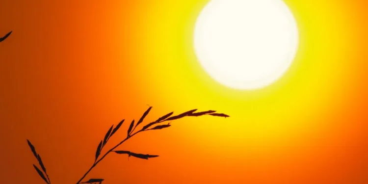 goiania-tera-quinta-feira-(13)-escaldante,-com-maxima-de-36°c