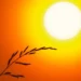 goiania-tera-quinta-feira-(13)-escaldante,-com-maxima-de-36°c